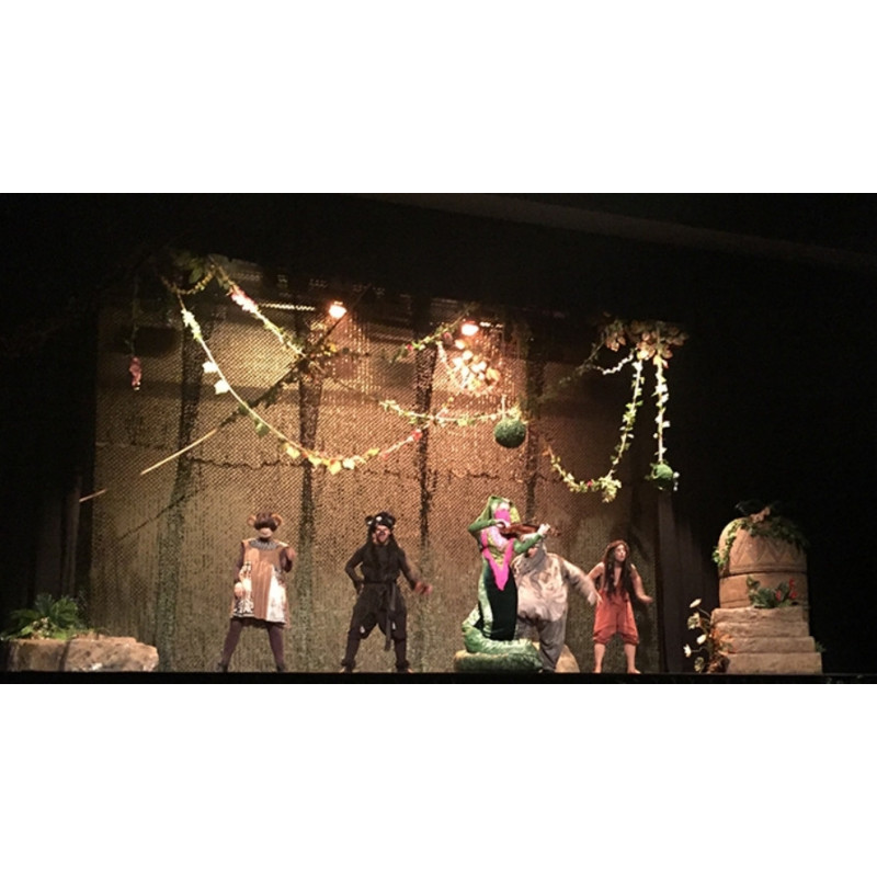 1Y2PRI TEATRO CASTELLANO EL LIBRO DE LA SELVA