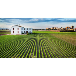 3Y4PRI LA HUERTA DE ALBORAYA