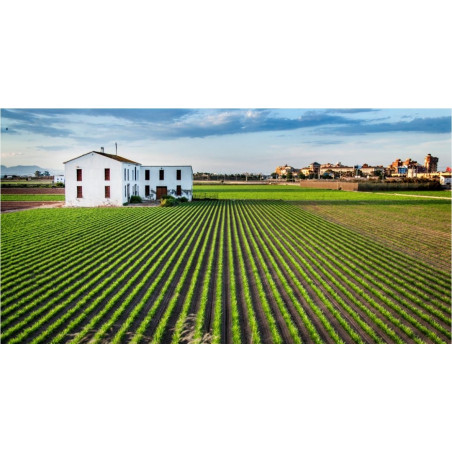 3Y4PRI LA HUERTA DE ALBORAYA