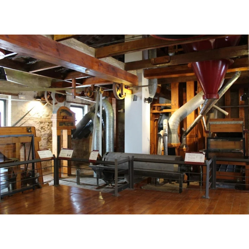 1Y2PRI MUSEO DEL ARROZ