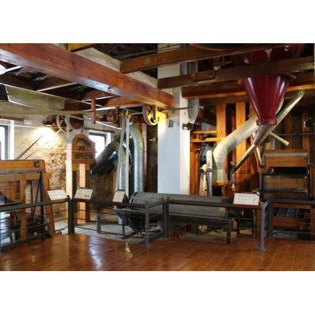 1Y2PRI MUSEO DEL ARROZ